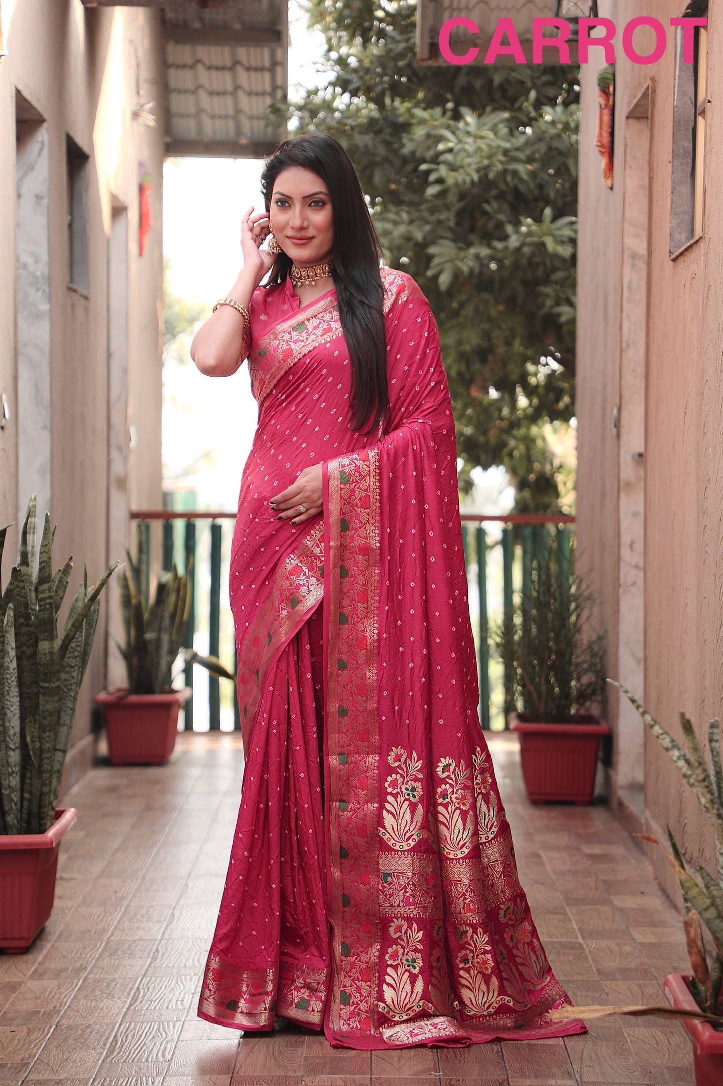 गाजर नजाकत शुद्ध बंधेज सिल्क साड़ी पटोला बॉर्डर के साथ ज़री बुनाई पैठानी रिच पल्लू साड़ी