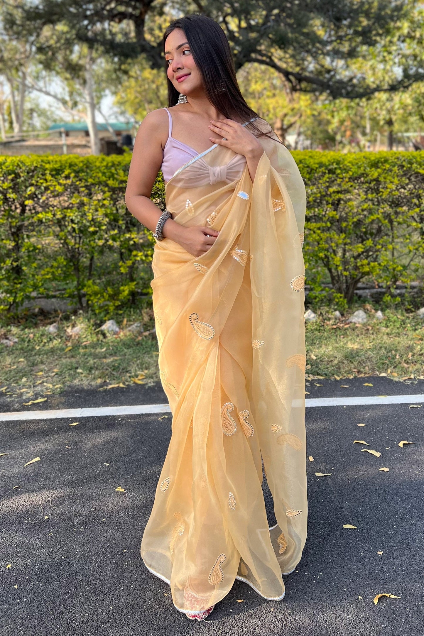 कढ़ाई वर्क बेज ऑर्गेना फेस्टिव वियर साड़ी ब्लाउज के साथ