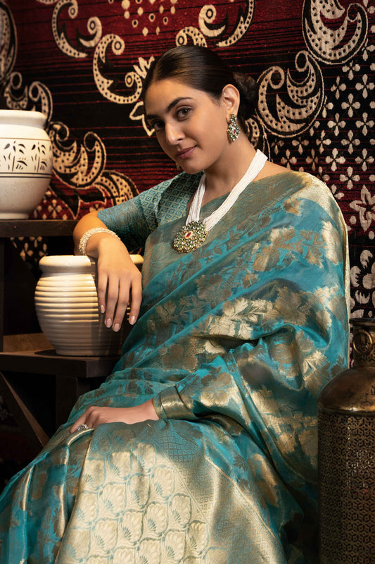 खूबसूरत बुनाई के काम के साथ हल्के नीले रंग की जिम्मी चू साड़ी