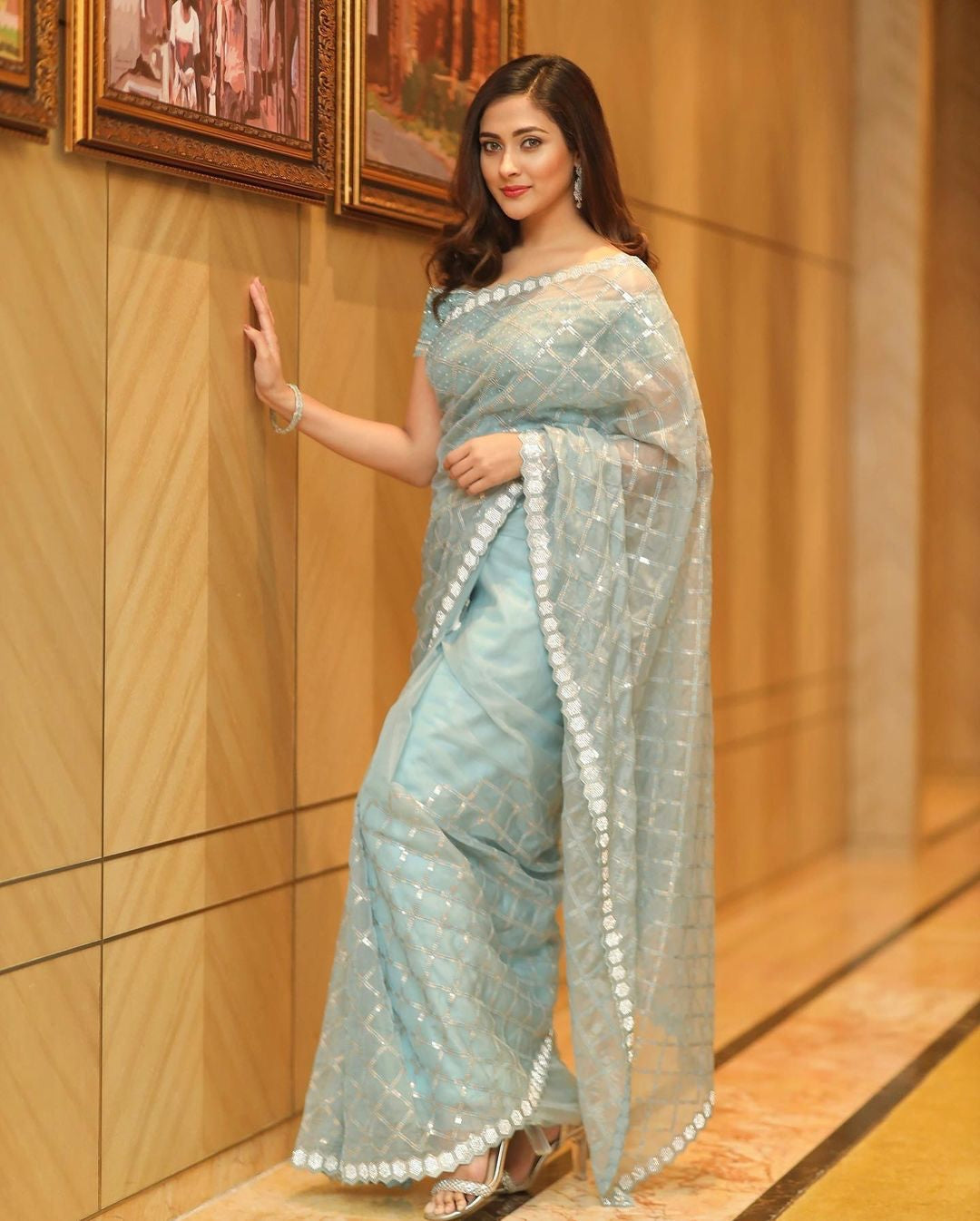 Deigner Sequance Embroidered Work Saree