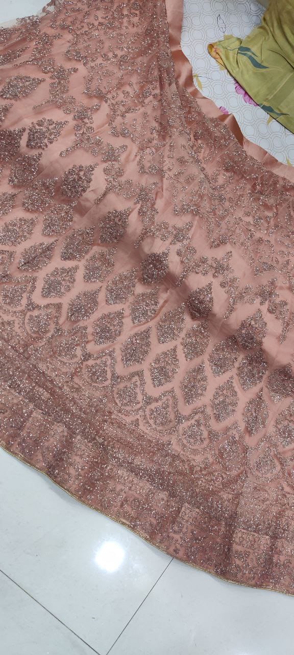 शादी के लिए पहनने के लिए हल्के रंग का सॉफ्ट नेट ग्लिटर कोडिंग कढ़ाई वाला लहंगा चोली