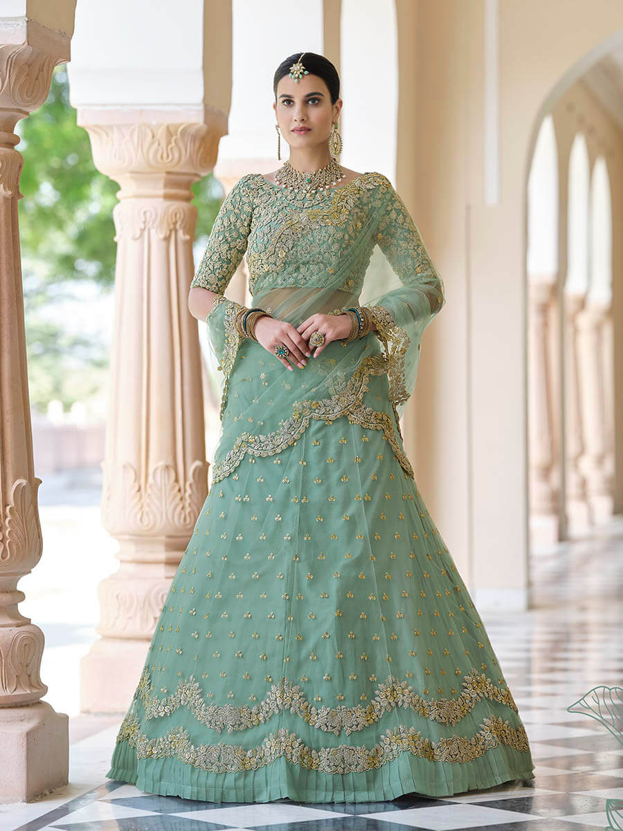 Pista Net Embroidered Lehenga