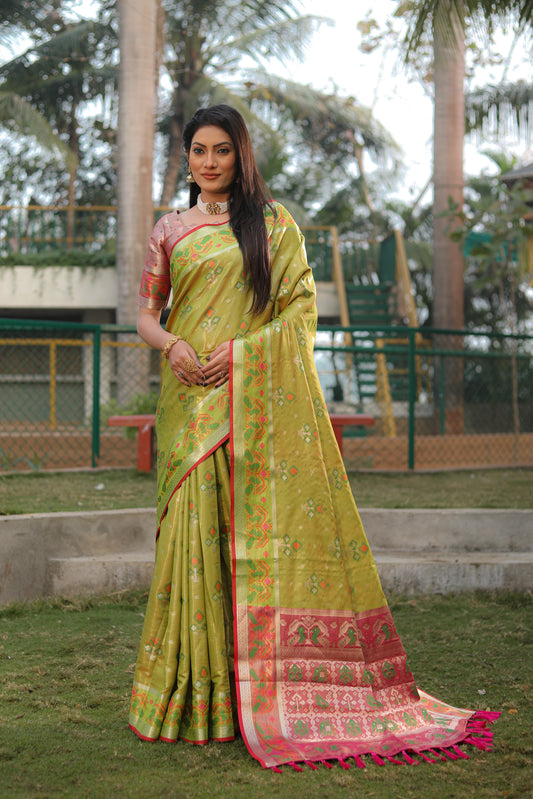 Light Green Isha Organza sarees with Ikkat Patola weave pallu with tassels