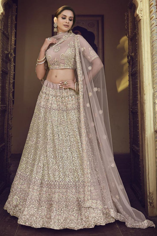 एक्सक्लूसिव नेट फैब्रिक रिसेप्शन वियर चीकू कलर सेक्विन वर्क लहंगा चोली