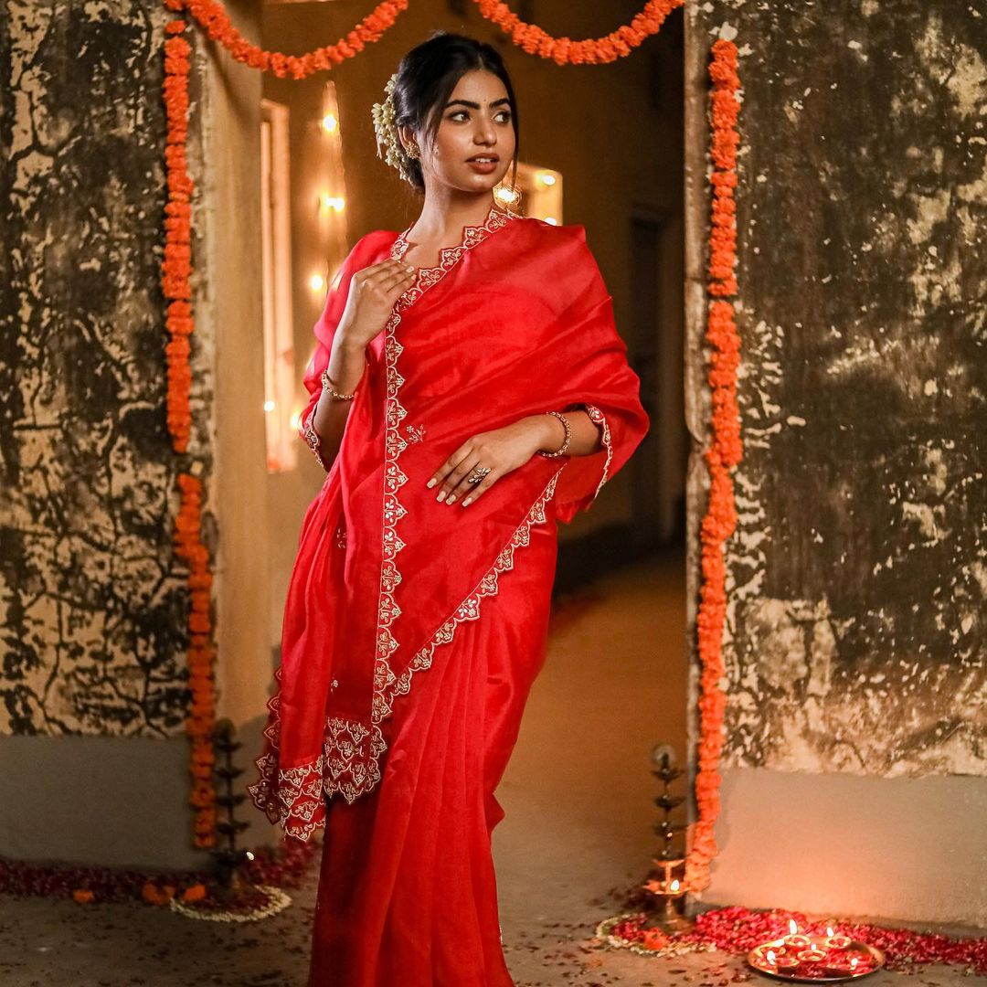 Hevy Butterfly Net With Georget Saree