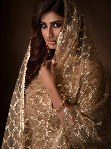 Beige Soft Net Gharara Suit