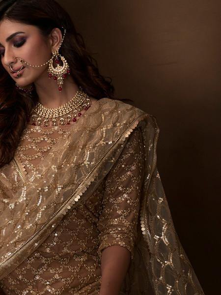 Beige Soft Net Gharara Suit