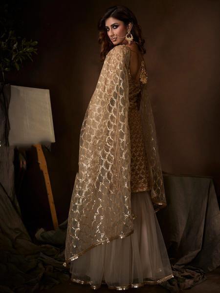 Beige Soft Net Gharara Suit