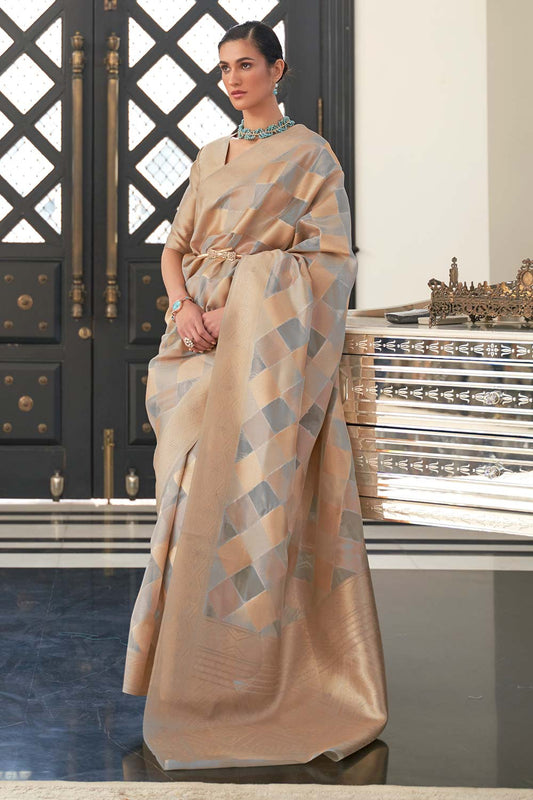 Kelena Beige Organza Lace Saree