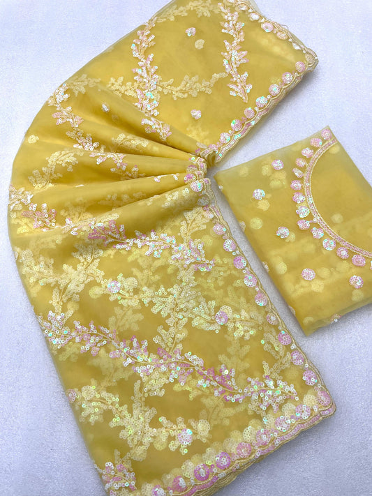 बटरफ्लाई नेट सीक्वेंस कढ़ाई वर्क साड़ी